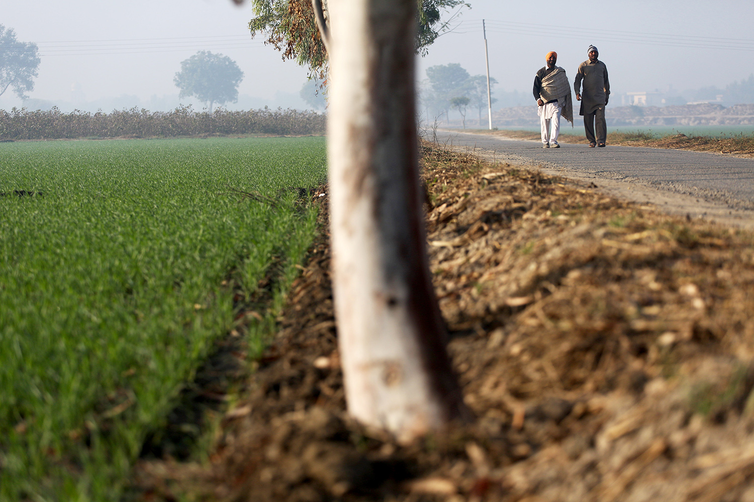 Punjab's Fertile, Polluted Soil Pulitzer Center