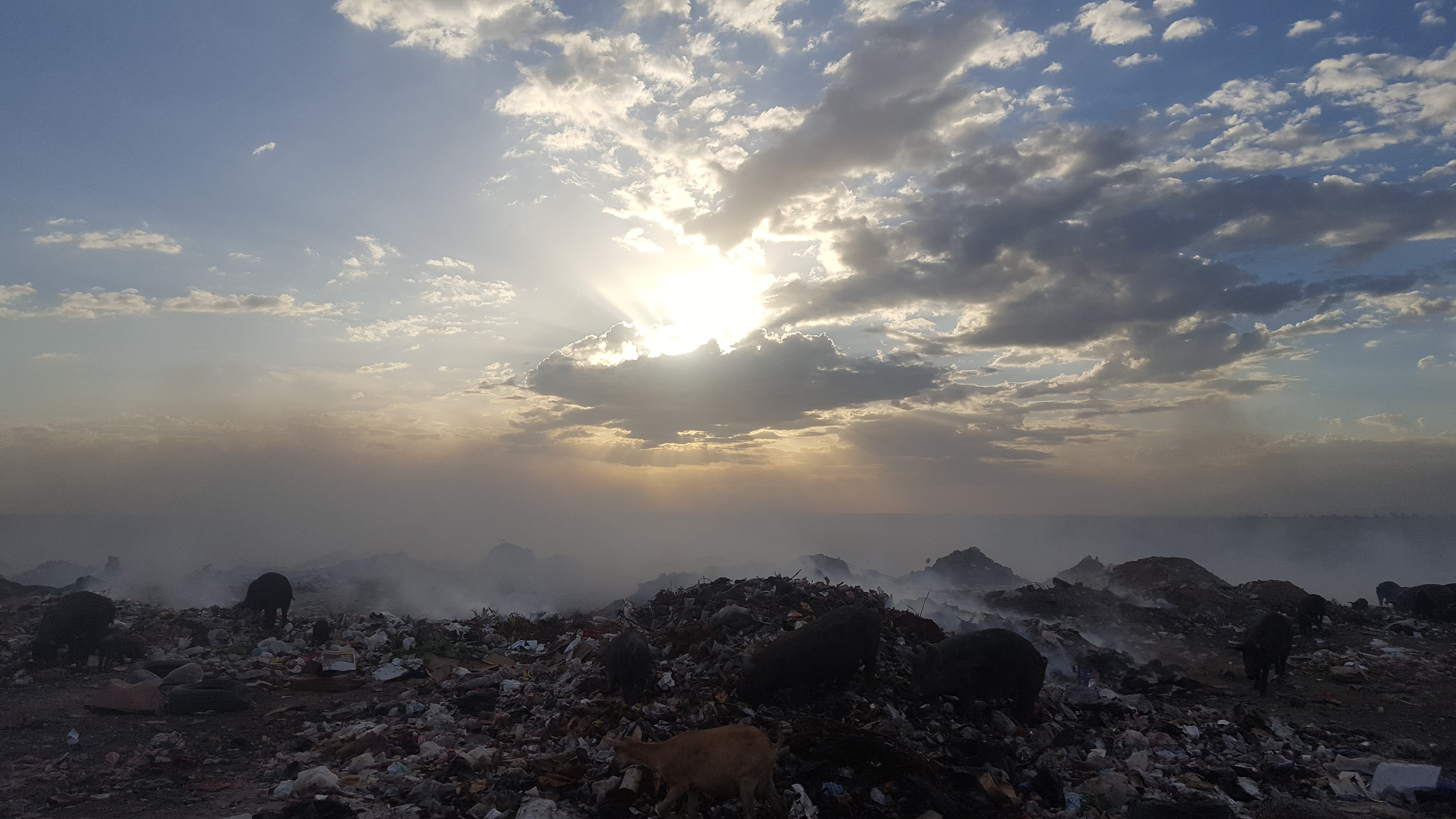 Haiti: The Most Beautiful Garbage Dump in The World | Pulitzer Center