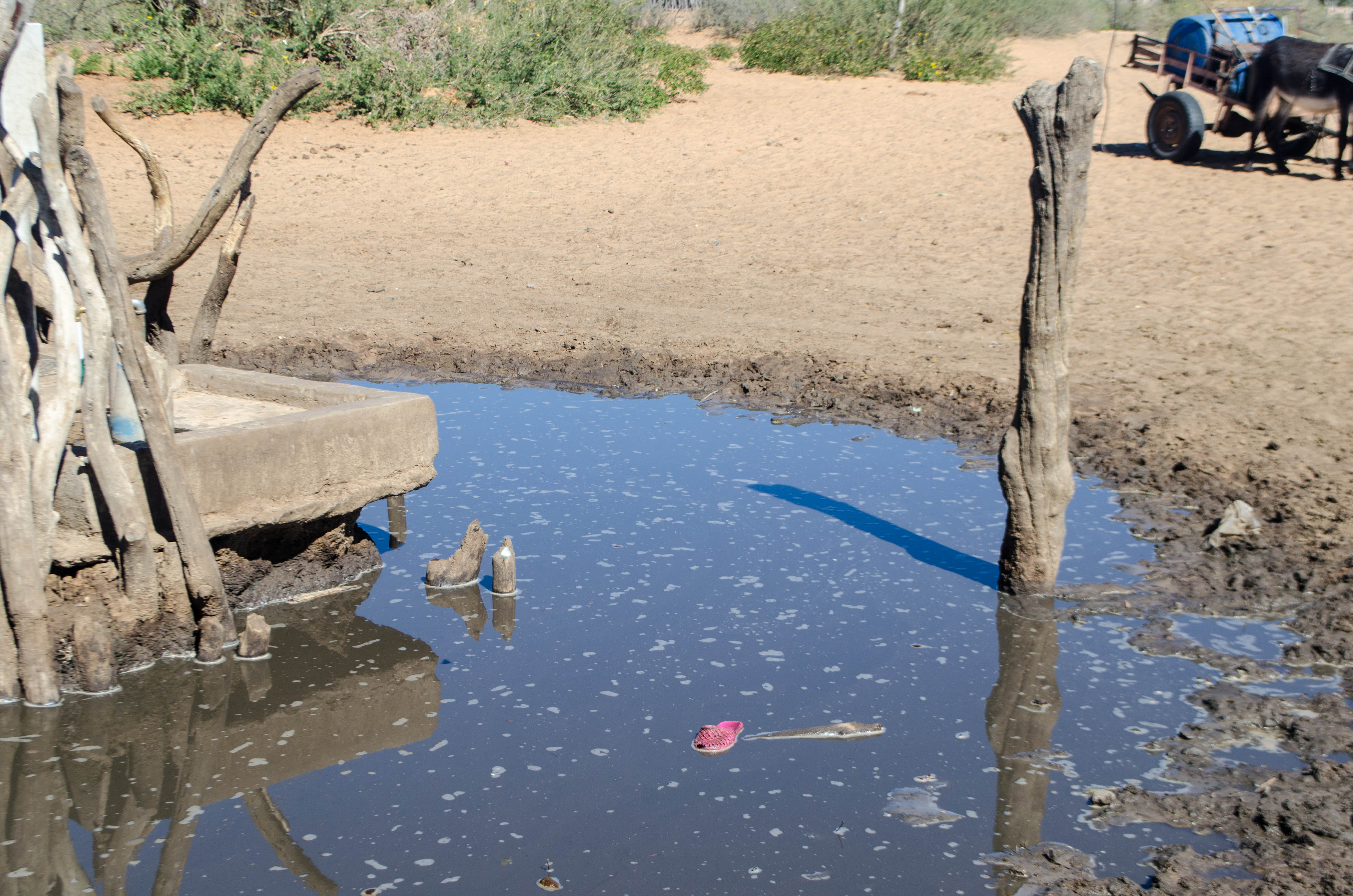 Botswana Leading a Course to Water Pulitzer Center