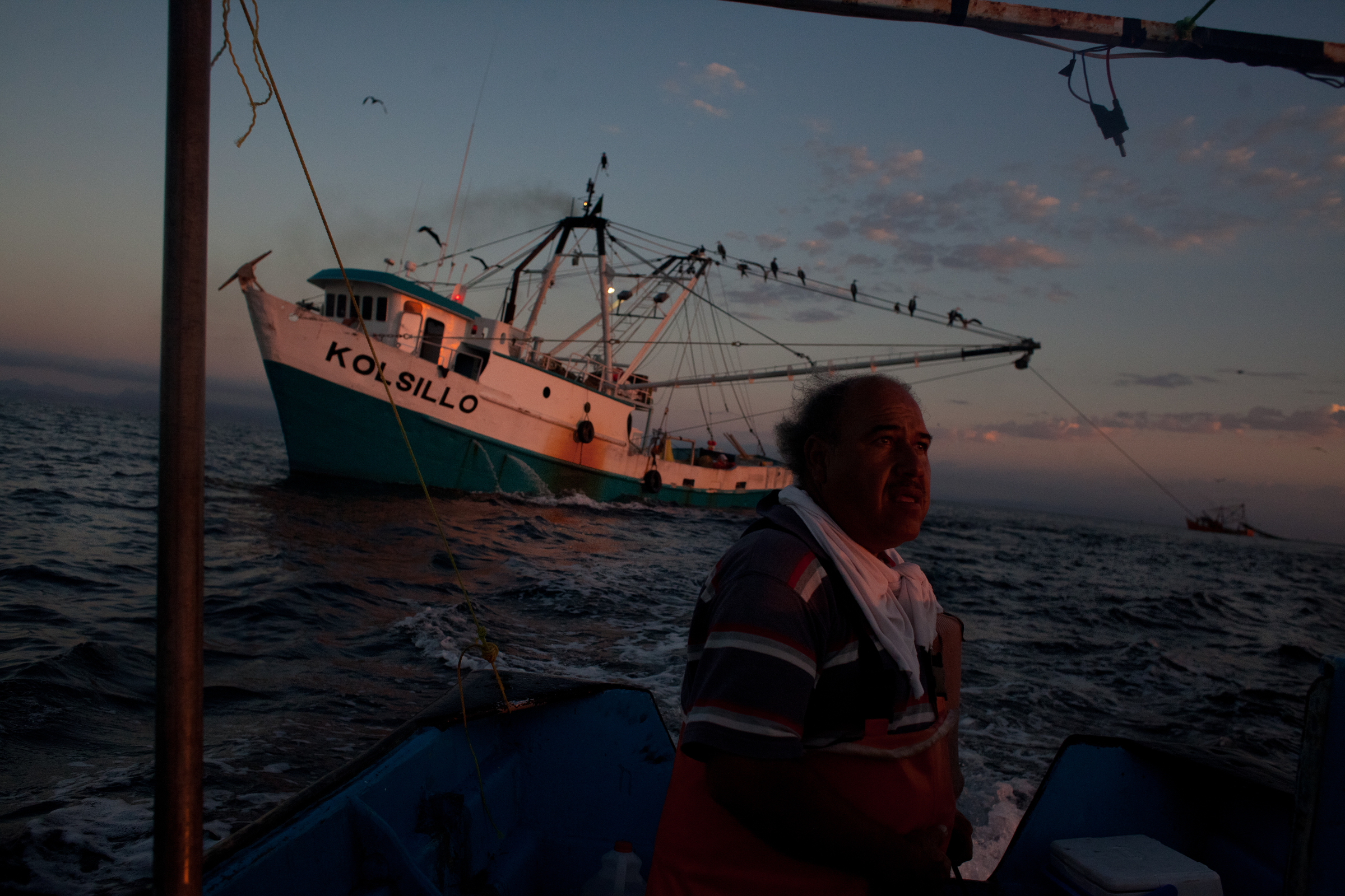 The Fish Left Behind in the Sea of Cortez Pulitzer Center
