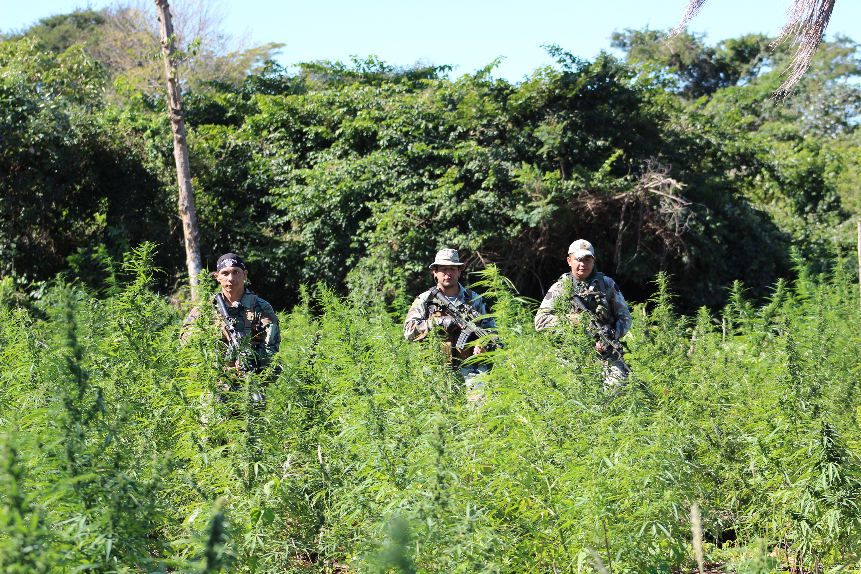 Paraguay's "War on Weed" Pulitzer Center