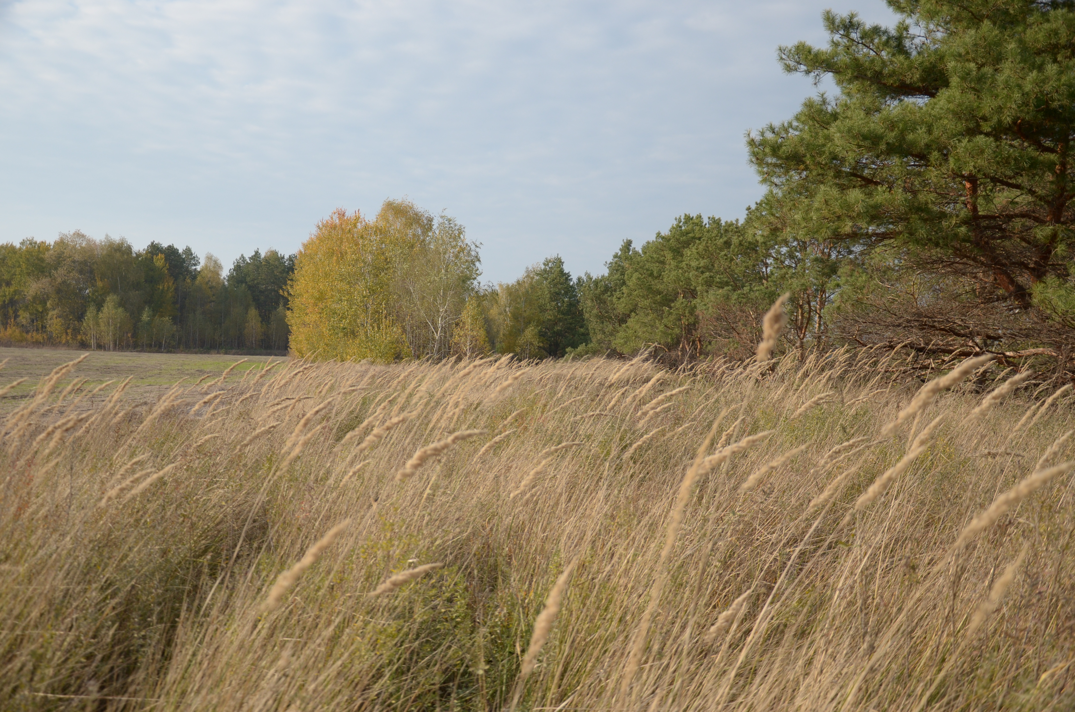 Ukraine: Greening the Revolution | Pulitzer Center