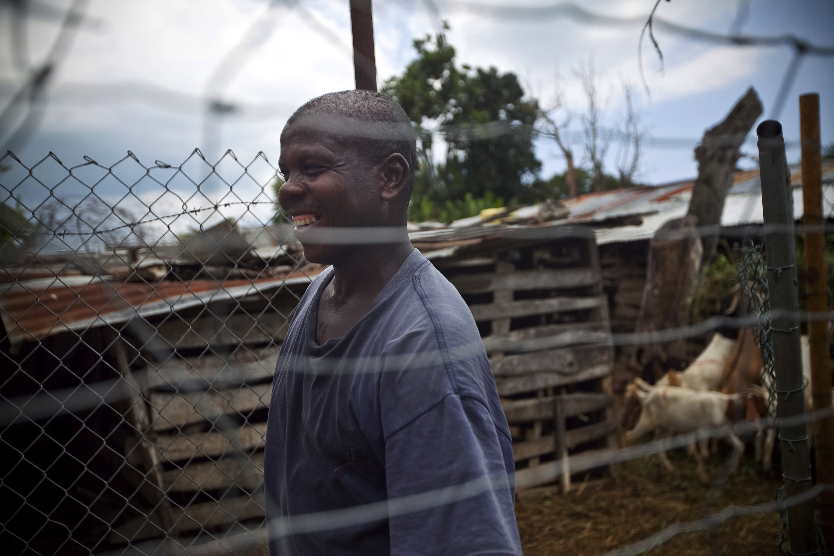 Jamaica Building a Goat Farming Industry Pulitzer Center