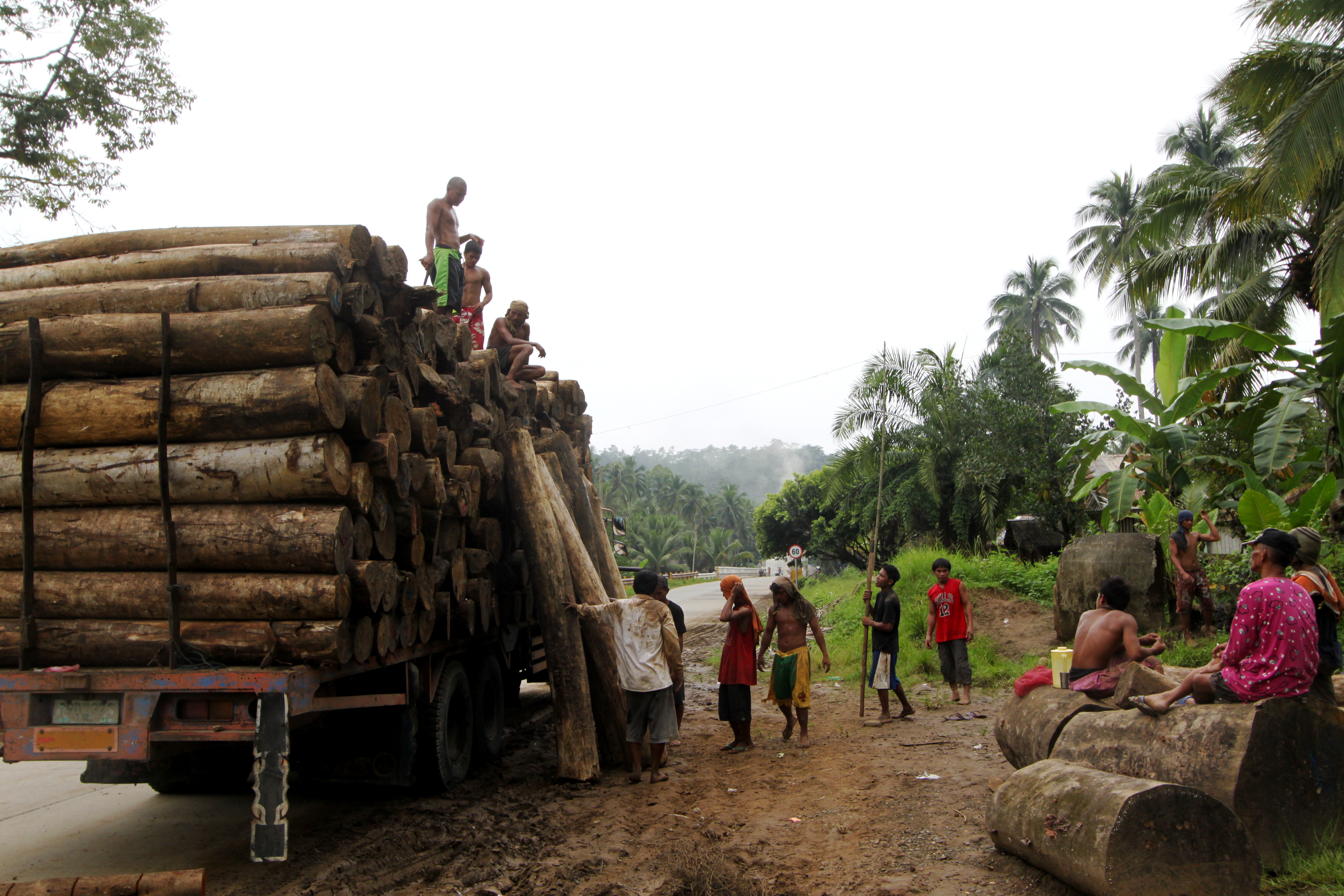 Philippines Timber Hauling for a Living Pulitzer Center