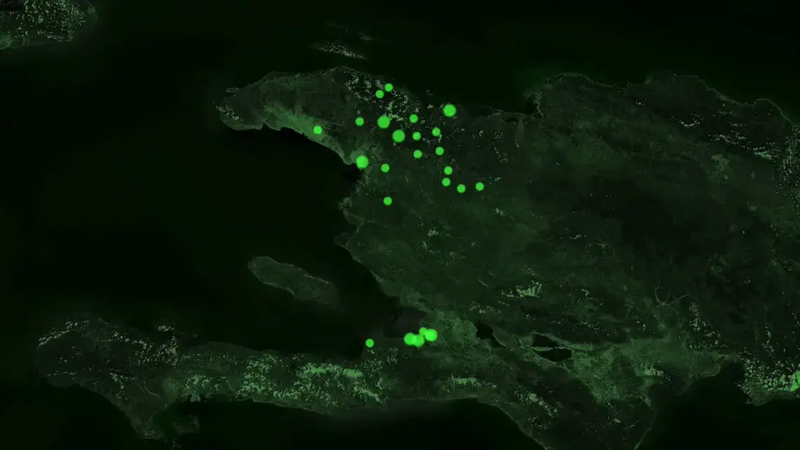 Cholera map by Dan McCarey. Media file: map.png