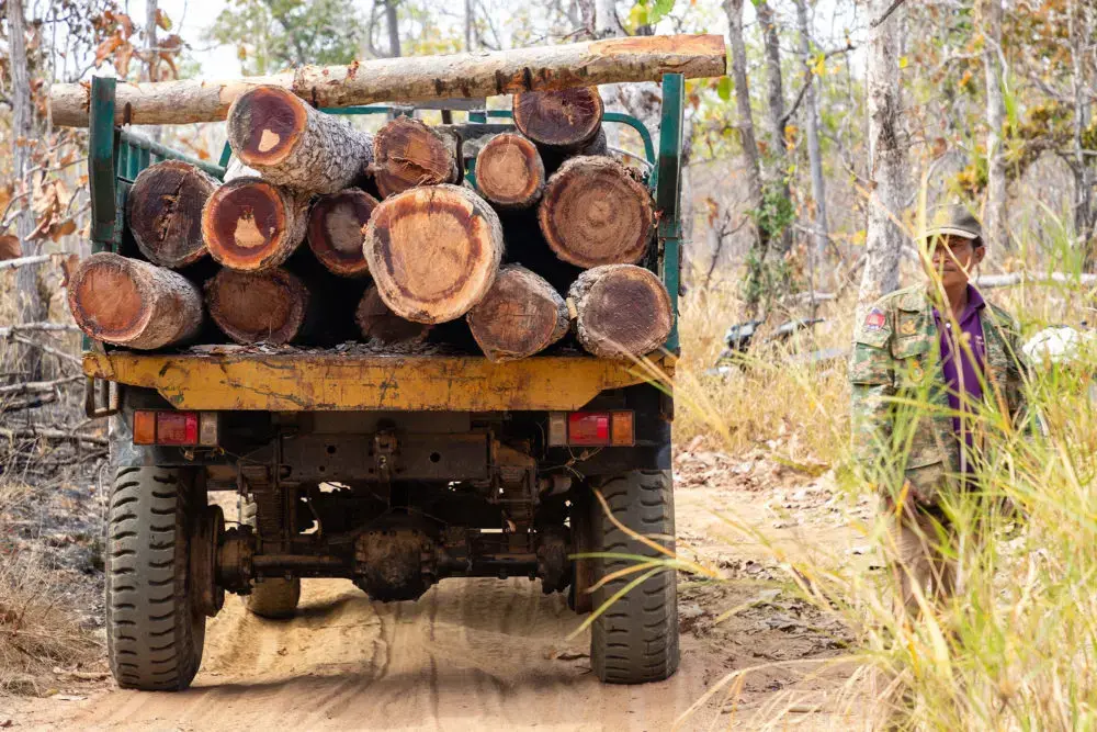 A member of the Prey Lang Community Rangers alongside a truck hauling timber from a protected forest area. Rangers do not have the authority to confiscate illegally harvested logs, but they monitor and report on such activity. Image by Sean Gallagher. Cambodia, 2020.