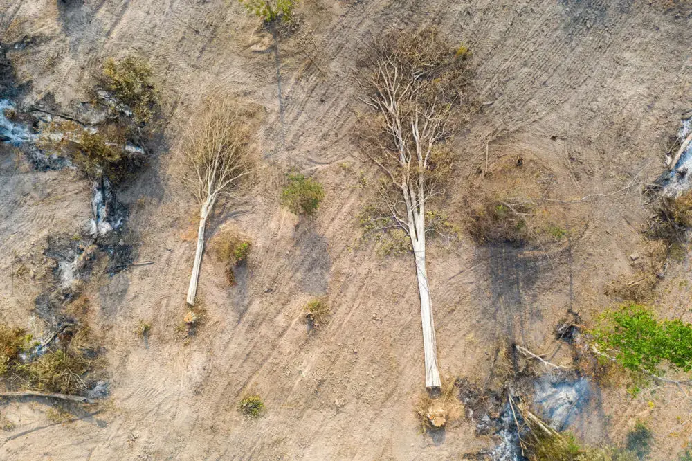Aerial view of cut trees in the Beng Per Wildlife Sanctuary. Image by Sean Gallagher. Cambodia, 2020.<br />
