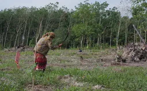 A woman weeding her plot of land with a machete.