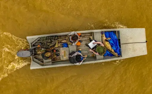 A bird's eye view of a boat rowing over the murky rivers of the Amazon.