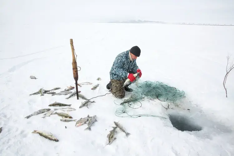 Omirserik Ibragimov, 25, uses a net to ice fish on the frozen surface of the North Aral Sea near Tastubek, Kazakhstan. Image by Taylor Weidman. Kazakhstan, 2017.