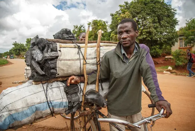 Mr Marino has been pedalling all through the night to reach Lilongwe with bags of charcoal that weigh 50 kg or more each. Image by Nathalie Bertrams. Malawi, 2017.