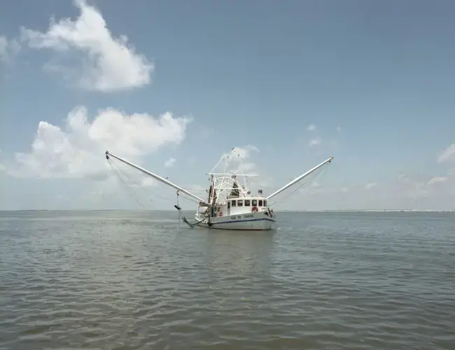 Grand Isle. The Ace of Trade approaches Dean Blanchard’s dock. Image by Spike Johnson. United States, 2019.