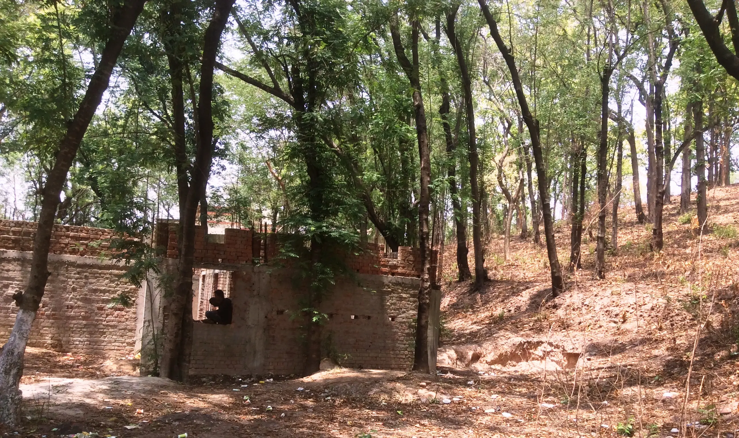 A semi-constructed building near the grove that will become sacred site 