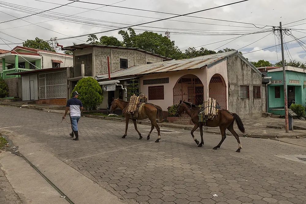 laborer with two horses in the street