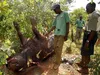 Images of Zimbabwe