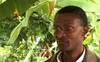 Eugene Rutagarama, International Gorilla Conservation Programme