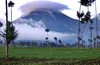 Virungas Parc National des Volcans - Rwanda