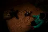 Prudence and Blessing Moyo in the room their family shares in a derelict building, Johannesburg. They fled Zimbabwe after their grandfather, an MDC activist, was burned alive. They have nowhere to run if trouble strikes.
