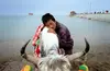 Sean Gallagher's photograph from his reporting on the wetlands of China 