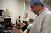 Savvas Koundouros looks through a microscope at the Genesis clinic in Limassol, Cyprus.