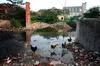 Flooding of Dongting Lake in Hunan Province has pushed water onto industrial land in nearby Yueyang city resulting in contamination of the water. China. Sean Gallagher, 2010.