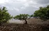 Since the end of World War Two, the world has lost approximately 50% of its mangroves. A few pockets remain in protected areas, such as those in the southern Chinese city of Zhanjiang in Guangdong province. Image by Sean Gallagher, China, 2010. 
