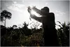 Photo by Olmo Calvo RodrÌguez from a series on soybeans and campesino rights in Paraguay (see slideshow below).