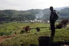 Image by Susan Schulman. Democratic Republic of Congo, 2011.