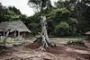 Abandoned homes on the outskirts of Ango, northeastern Congo. People have fled due to recent activity, abductions and killings by the Lord's Resistance Army. (Photo by Marcus Bleasdale)