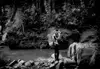 Image by James Whitlow Delano. Malaysia, 2011.