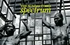Marco Vernaschi - West Africa's New Achilles' Heel - The Sunday Times Spectrum