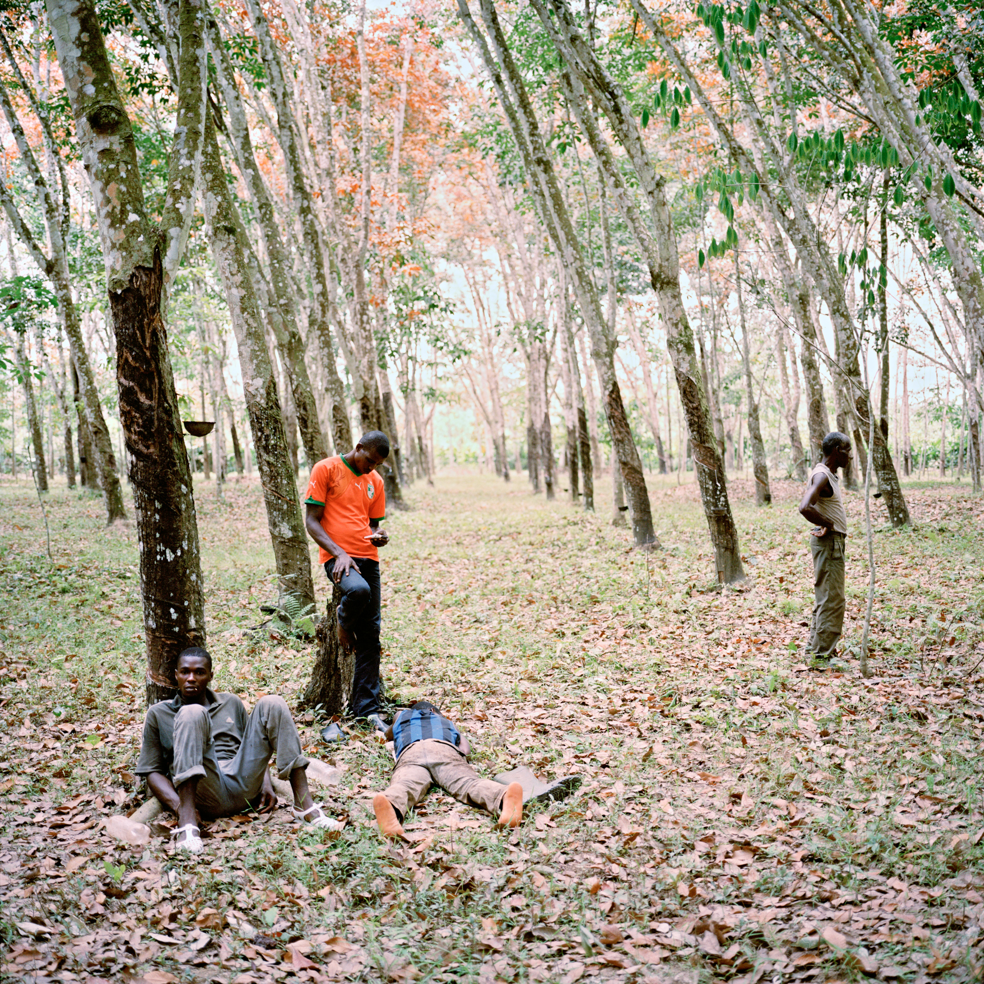 Farmers take a break on a rubber plantation owned by Youkou Morris Gnagbi, right, in Faye, Ivory Coast. Farming rubber often brings higher profits for less work than cocoa, and may eventually surpass cocoa as the nation's primary cash crop. Image by Peter DiCampo. Ivory Coast, 2012. Media file: -10.jpg