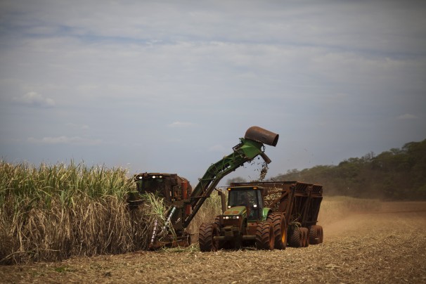 A worker cuts sugar-cane stalks at a BP ethanol-production facility near the city of Itumbiara. BP’s ethanol footprint in Brazil is particularly large. Image by Lianne Milton / The Washington Post. Brazil, 2013. Media file: 20131015ethanol4831382413746.jpg