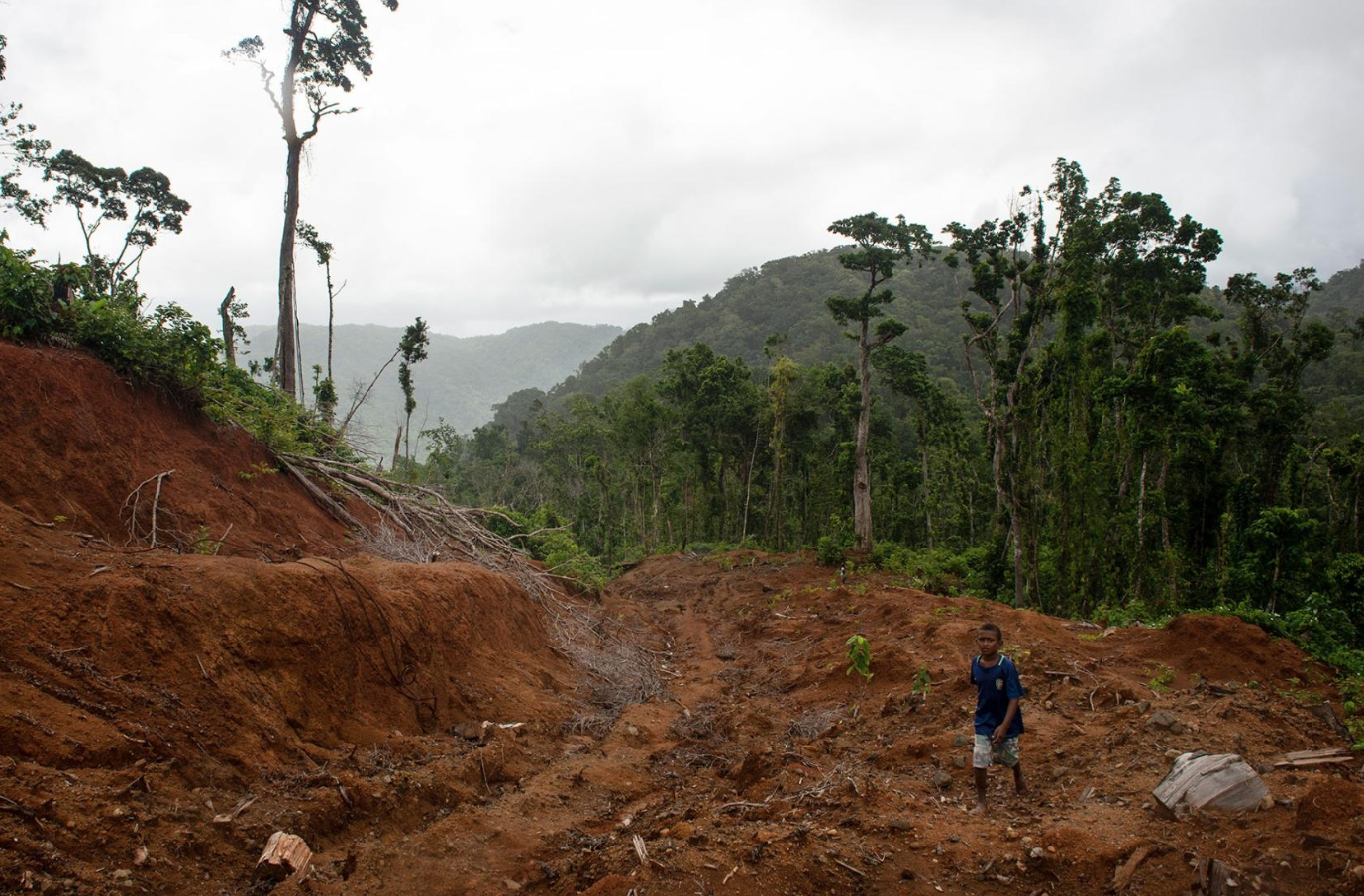 logging roads on nootka island