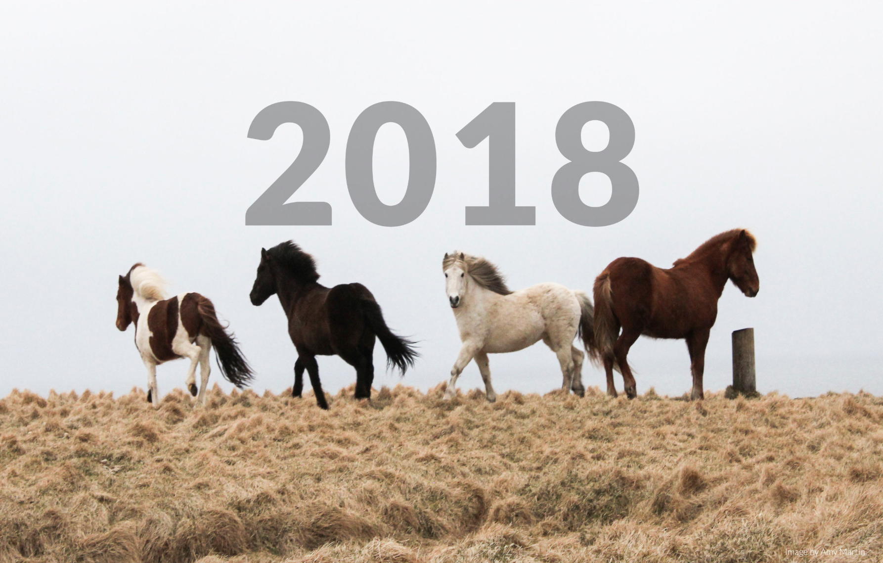 2018 Pulitzer Center Annual Report Cover 2018 Pulitzer Center Annual Report Cover