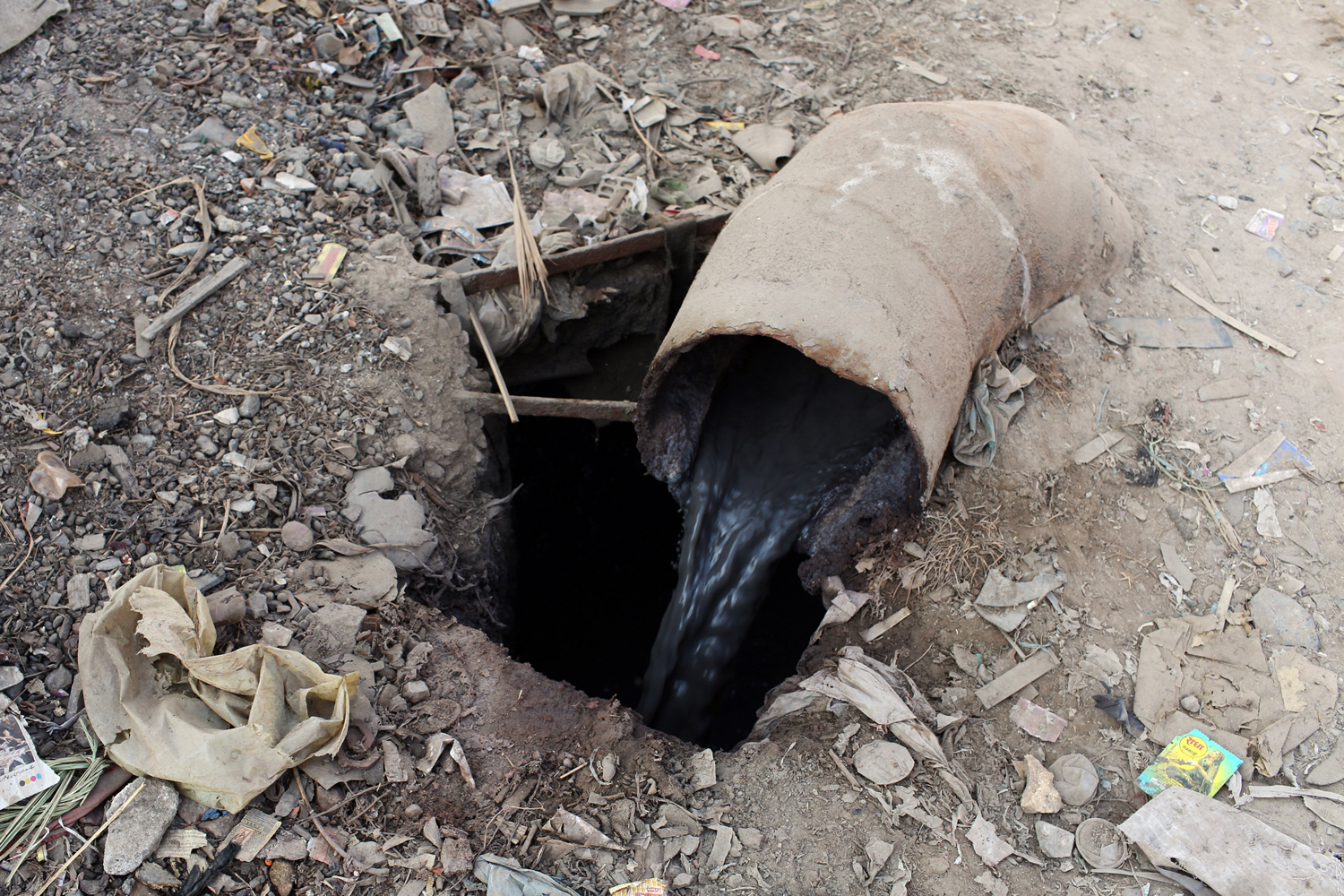 Leather Comes At a Price to India's Workers Pulitzer Center