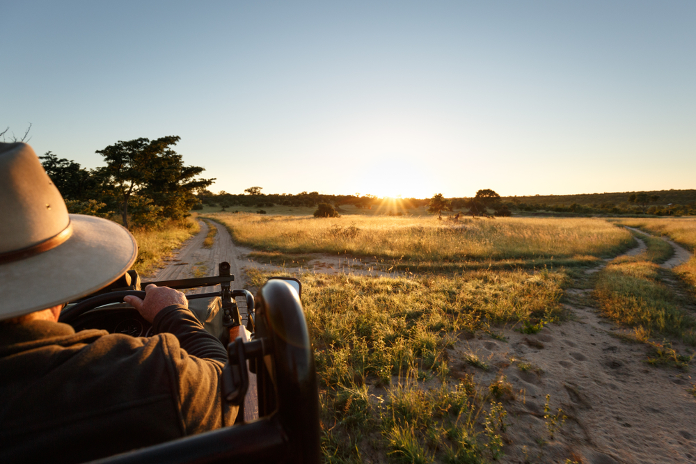 View from safari vehicle in Sabi Sands Game Reserve. Image by Shutterstock. South Africa, undated. View from safari vehicle in Sabi Sands Game Reserve. Image by Shutterstock. South Africa, undated.