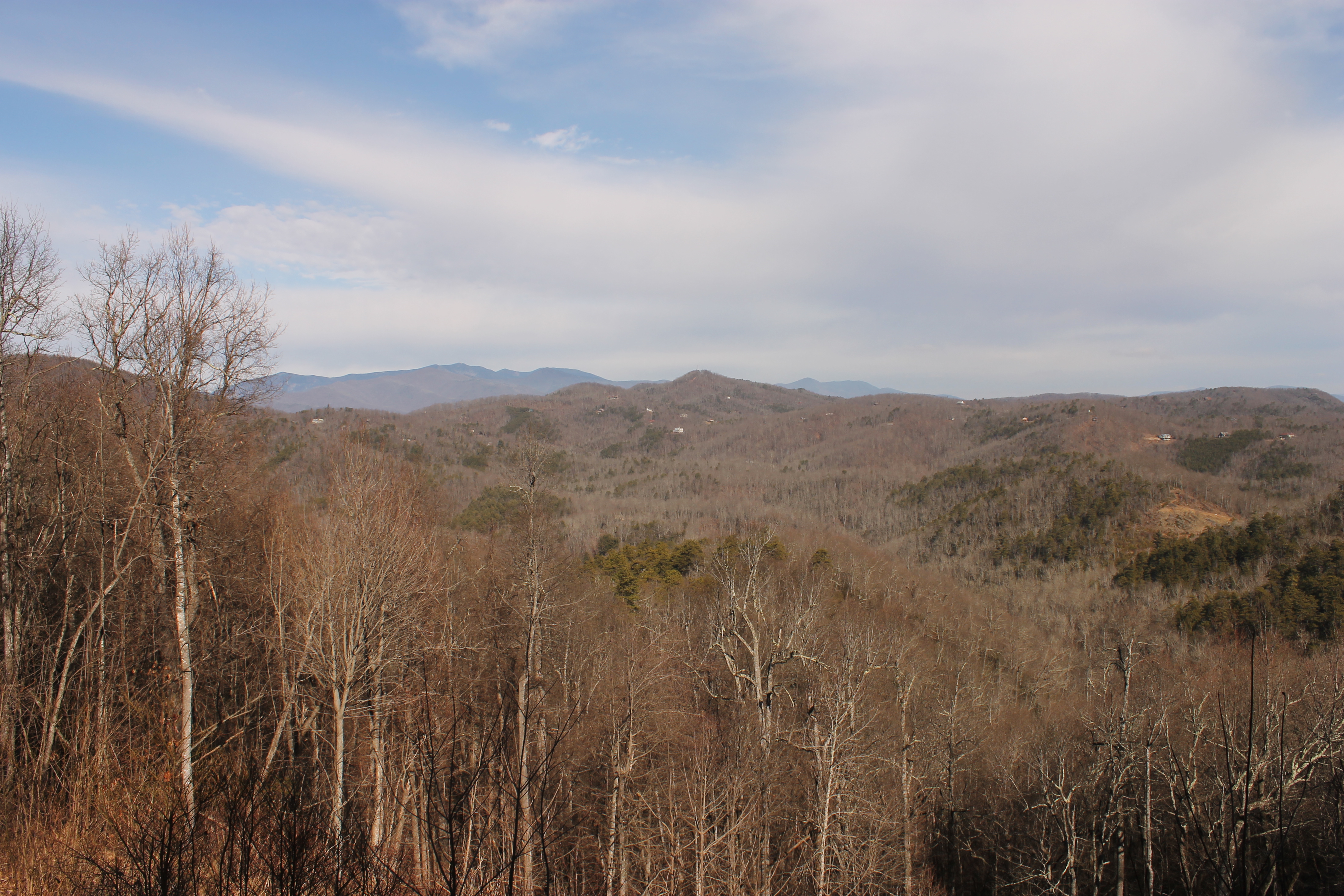 Houses dot the hillside near Black Mountain, North Carolina. Image by Emma Johnson. United States, 2020. Houses dot the hillside near Black Mountain, North Carolina. Image by Emma Johnson. United States, 2020.