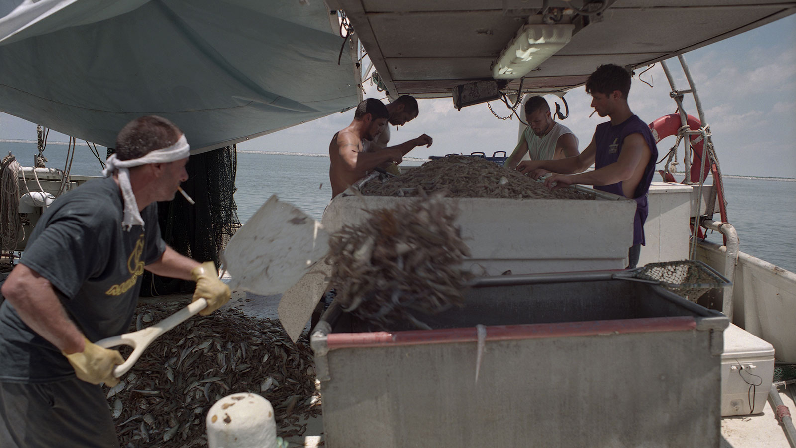 Dean Blanchard’s workers shovel piles of shrimp aboard the Ace of Trade off the coast of Grand Isle. Image by Spike Johnson. United States, 2019. Dean Blanchard’s workers shovel piles of shrimp aboard the Ace of Trade off the coast of Grand Isle. Image by Spike Johnson. United States, 2019.