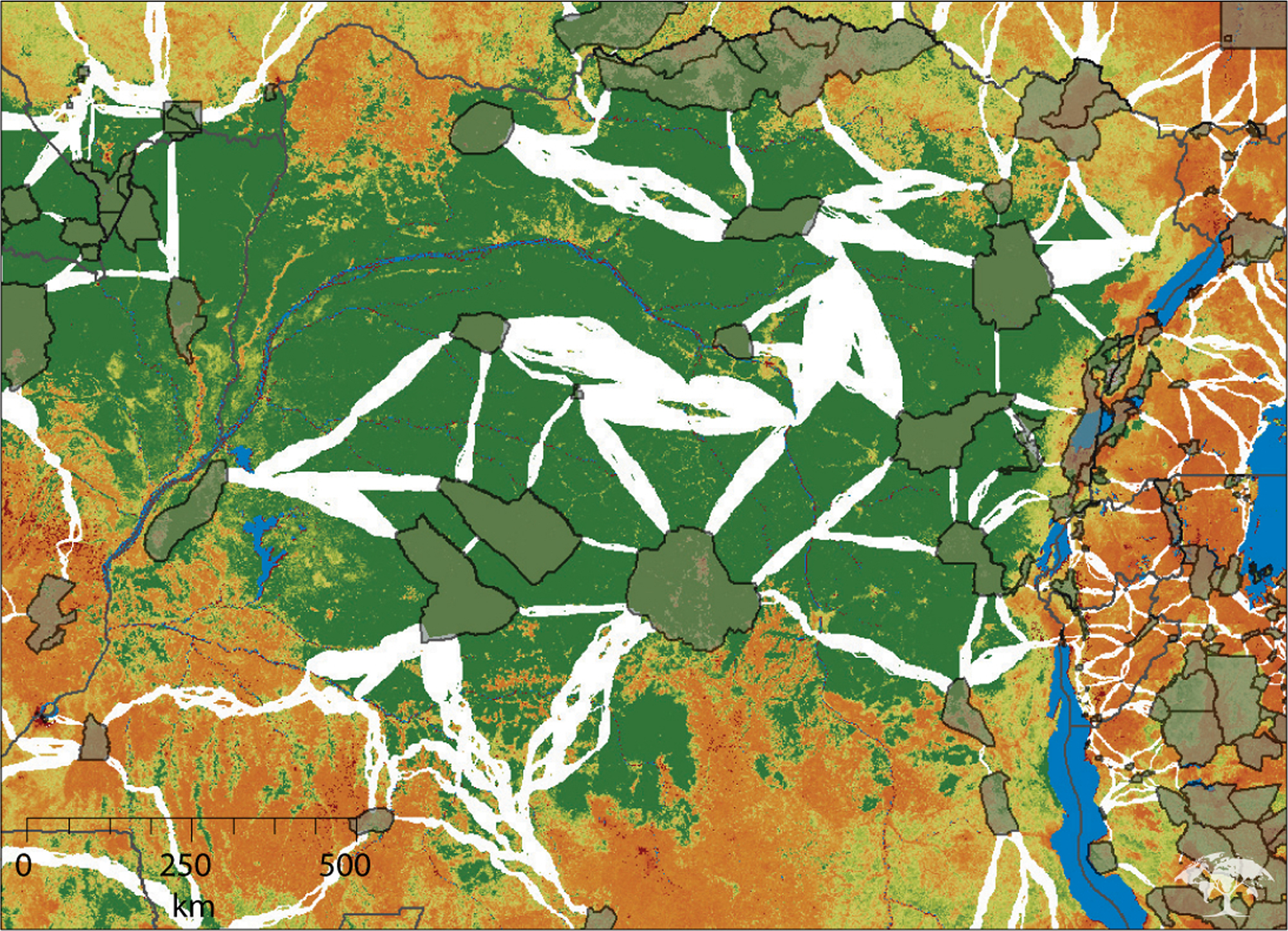 The areas in white are the recommended habitat corridors in the Congo established by the Woods Hole researchers. Image courtesy of Woods Hole Research Center. Media file: corridor_africa_lg.jpg