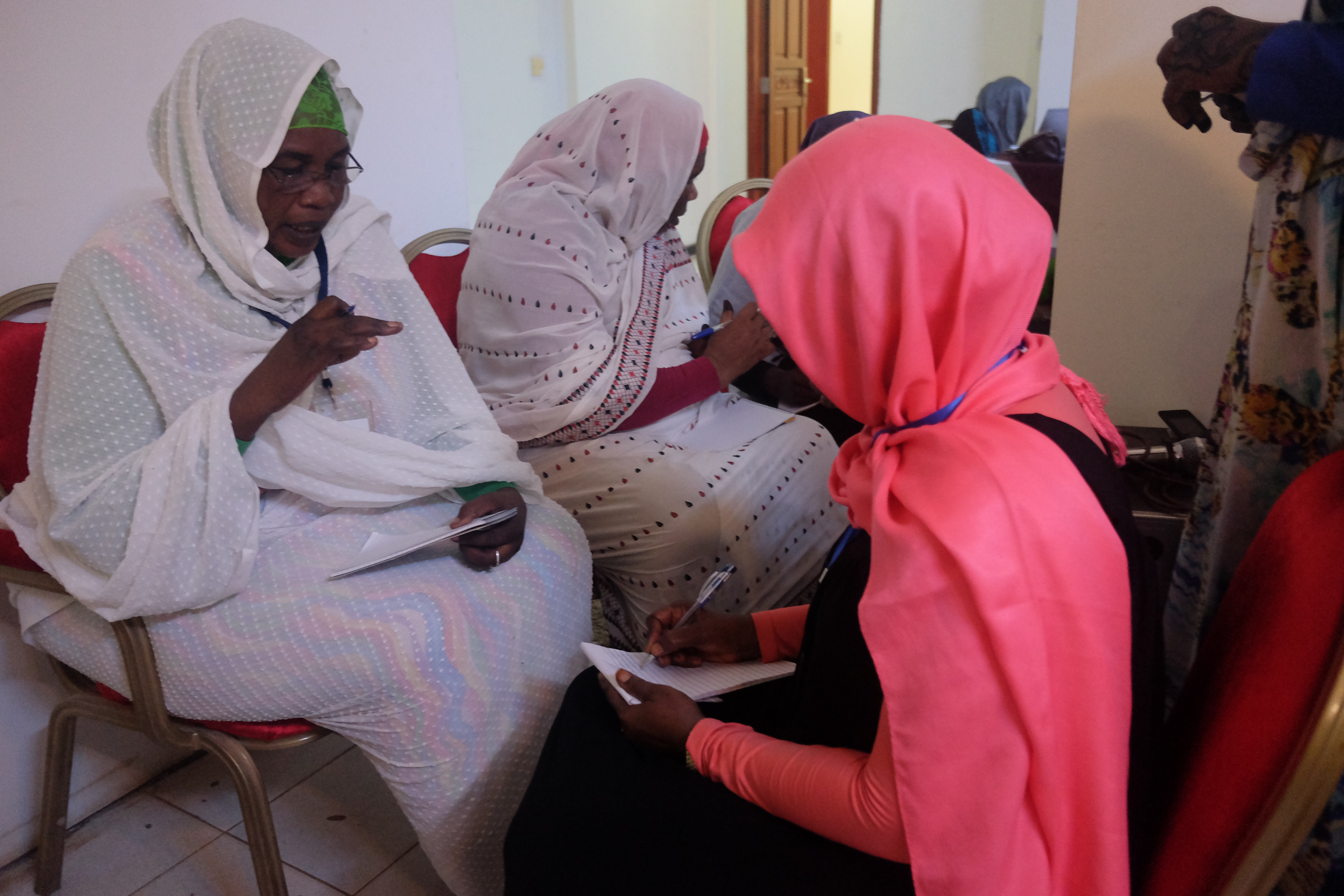 Women in Darfur are challenging cultural norms and creating political space. Image by Kira Zalan. Sudan, 2016. Women in Darfur are challenging cultural norms and creating political space. Image by Kira Zalan. Sudan, 2016.