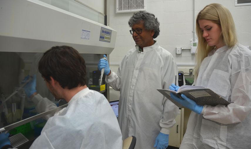 Scientists working in lab. Image by NASA/JPL-Caltech. United States, 2016. Scientists working in lab. Image by NASA/JPL-Caltech. United States, 2016.
