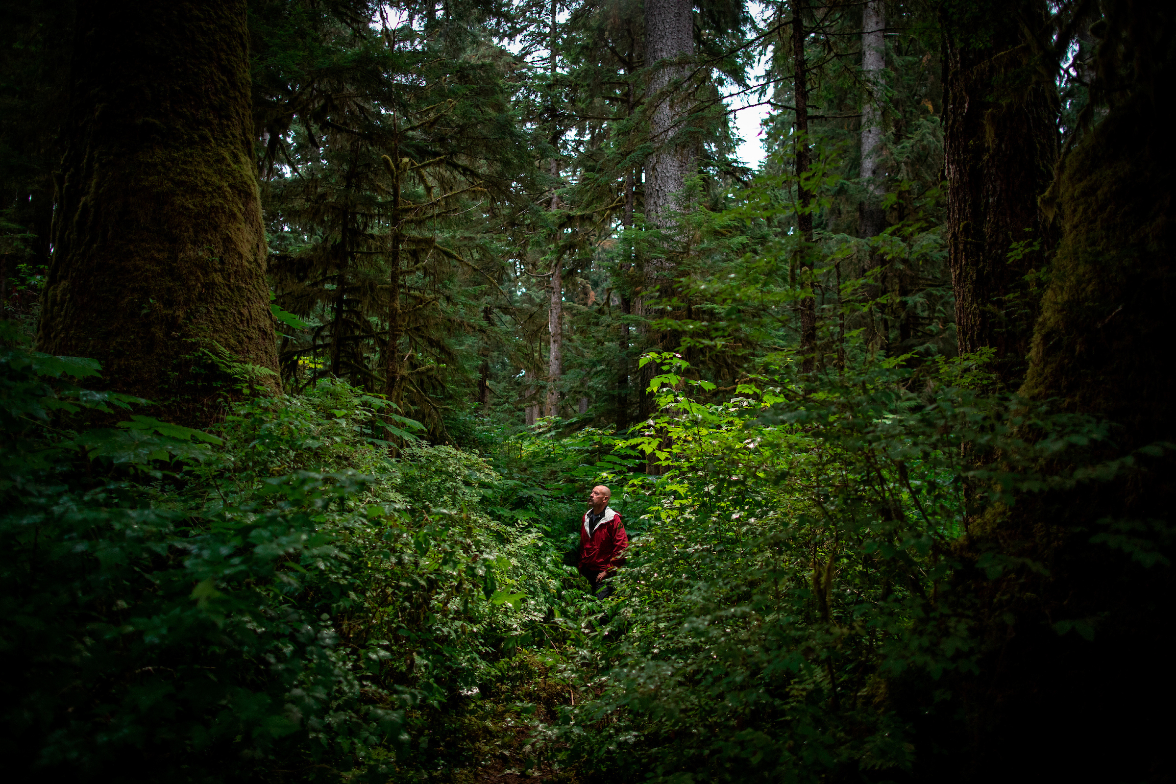 Retired State Trooper and local conservationist Bob Claus tours some of the last pristine old growth forest that remains on Prince of Wales Island, Alaska. Image by Joshua Cogan. United States, 2019. Retired State Trooper and local conservationist Bob Claus tours some of the last pristine old growth forest that remains on Prince of Wales Island, Alaska. Image by Joshua Cogan. United States, 2019.