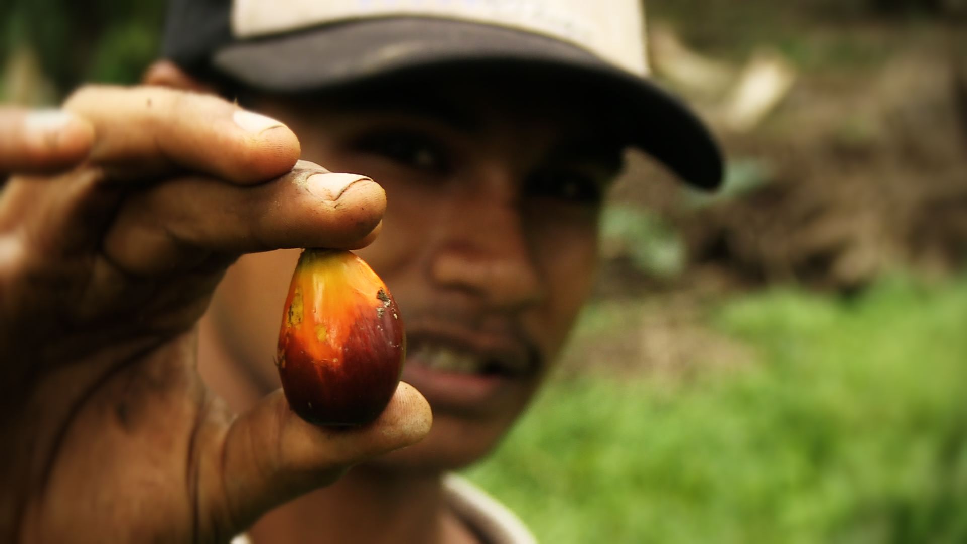 Image by Jason Motlagh. Malaysia, 2012. Media file: palm oil worker.jpg