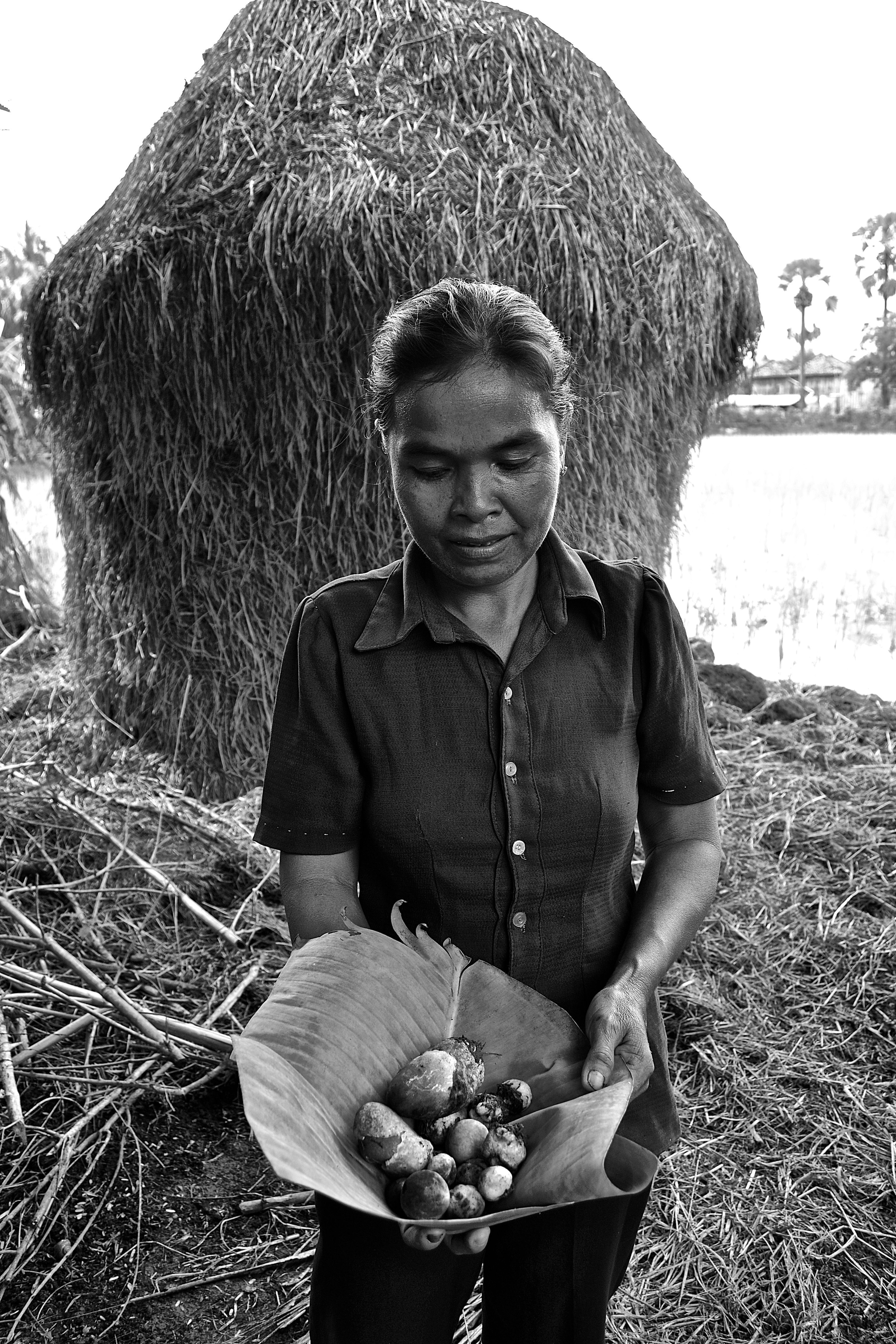A Cambodian woman shows her mushroom harvest for the day. After learning how to grow mushrooms, this woman has doubled her yearly income. Image by Melisa Goss. Cambodia, 2013. Media file: dsc_1014.jpg