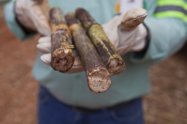 Producing ethanol from sugar cane is more energy-efficient than using corn. Image by Lianne Milton, for The Washington Post. Brazil, 2013. Media file: ethanol.jpg