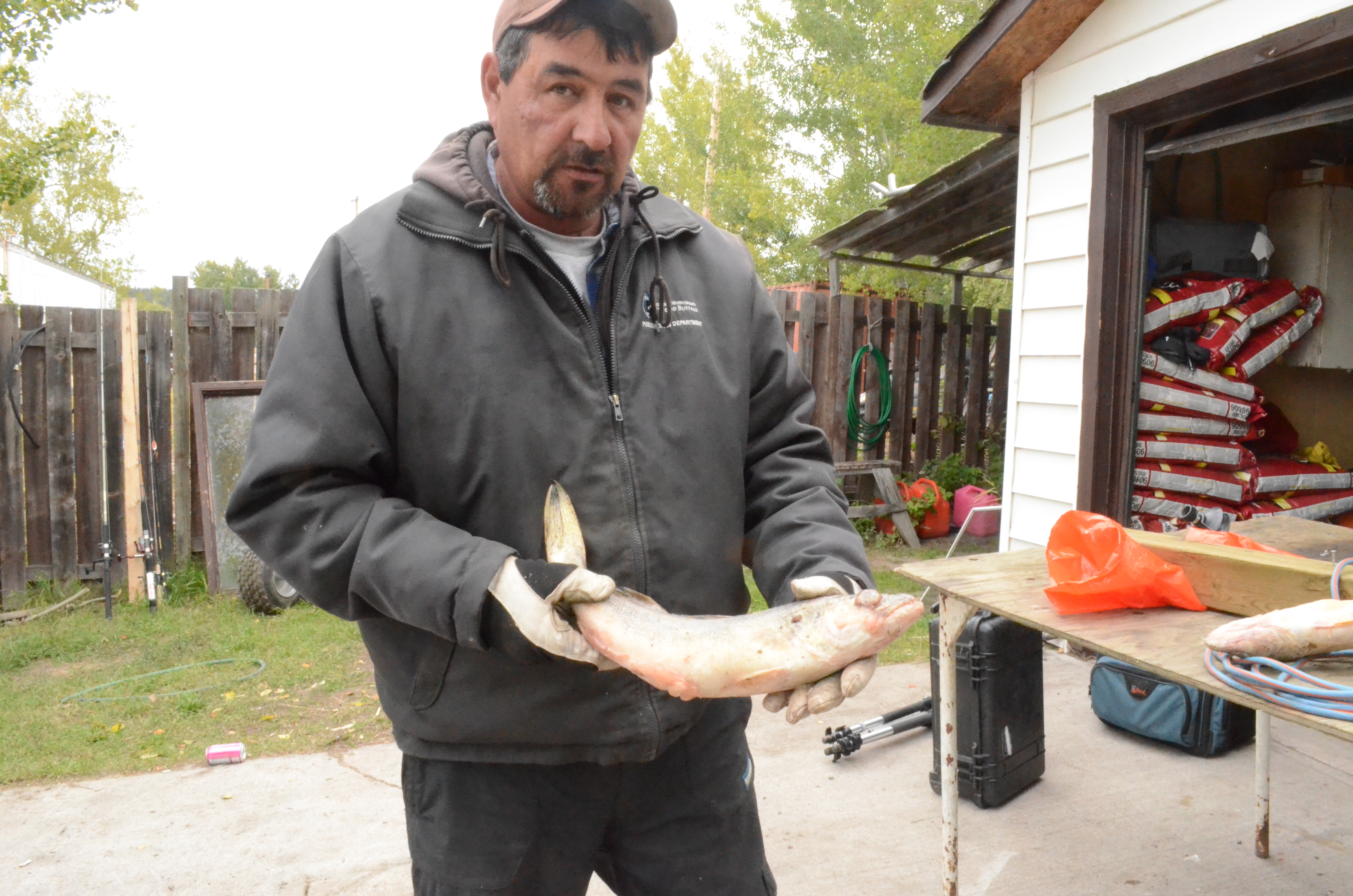 "Smokey" Ladouceur, whose family has been fishing in the area for decades, holds a deformed pickerel caught in Lake Athabasca. Image by Dan Grossman. Alberta, 2015. Media file: dsc_7068.jpg