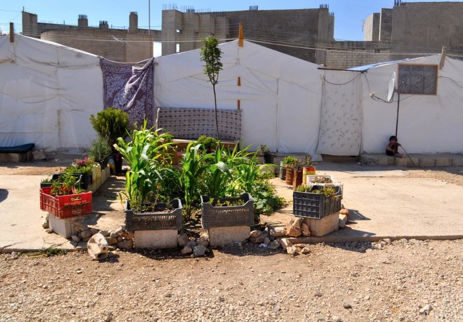 One refugee makes a circle of plants outside her tent in Lebanon, reminiscent of her garden back in Syria. She has been living here for two years and has to pay a $200 annual residency permit fee. Refugees who can't afford to pay become illegal. They then stay within their camps, afraid of checkpoints and military officers. They also become vulnerable to exploitation and crime, since they will not approach police for fear of detention. Image by Alice Su. Lebanon, 2014.
