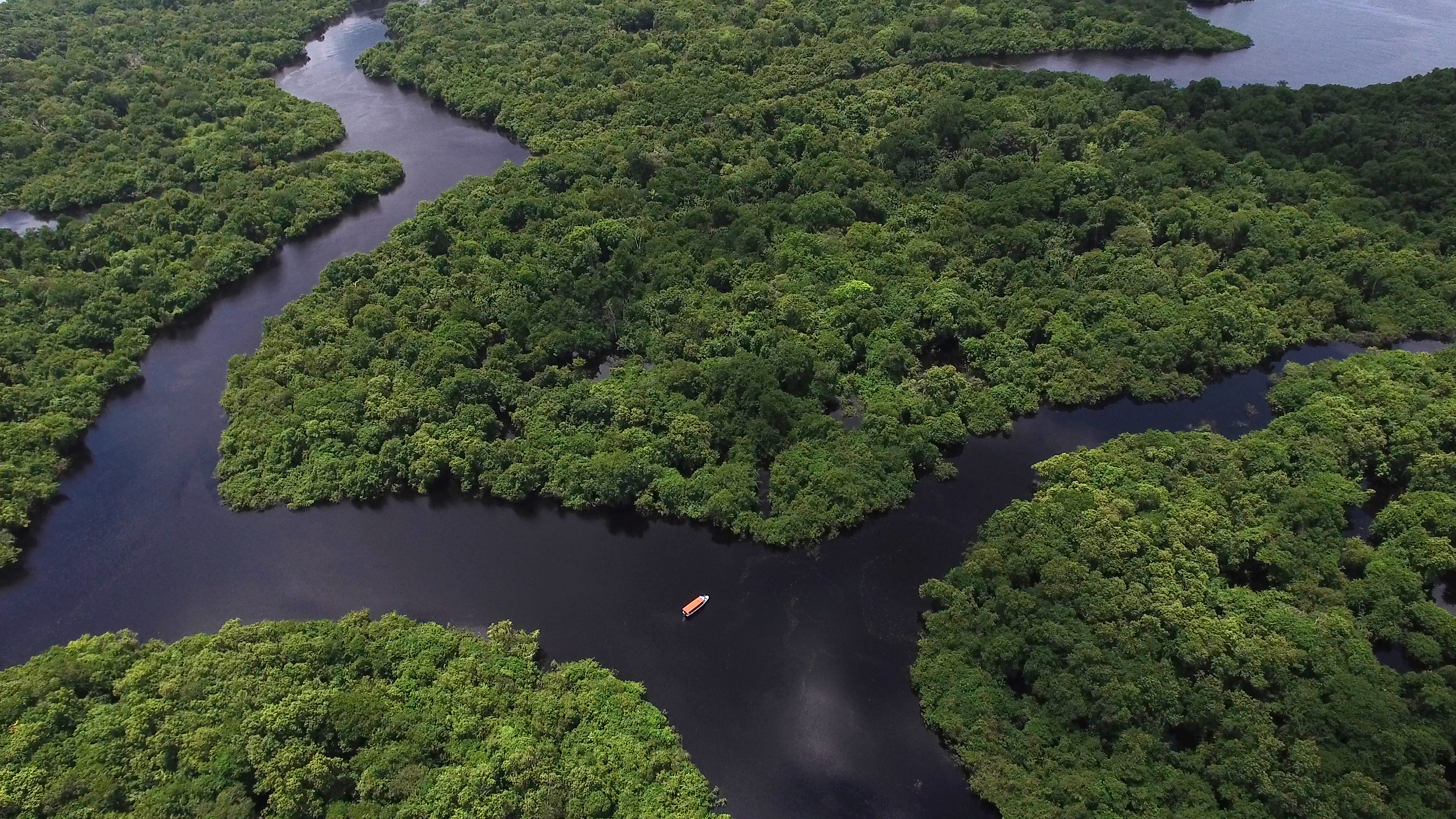 На каком материке расположен дождевой лес сельва. Река Амазонка река Амазонка. Бразилия Амазонская низменность. Река Амазонка в Бразилии. Сельва Бразилии.