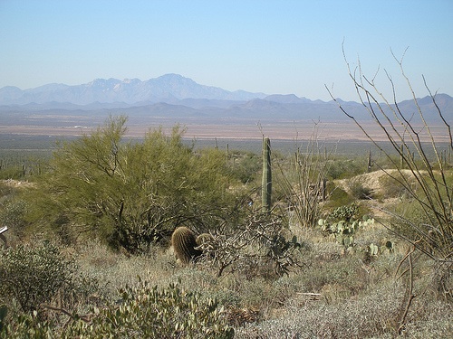 The southern Arizona desert, where many members of the Tohomo O’odham nation reside, doubles as a passageway for illegal immigrants. Image by kansas_city_royalty, Flickr. United States, 2009.